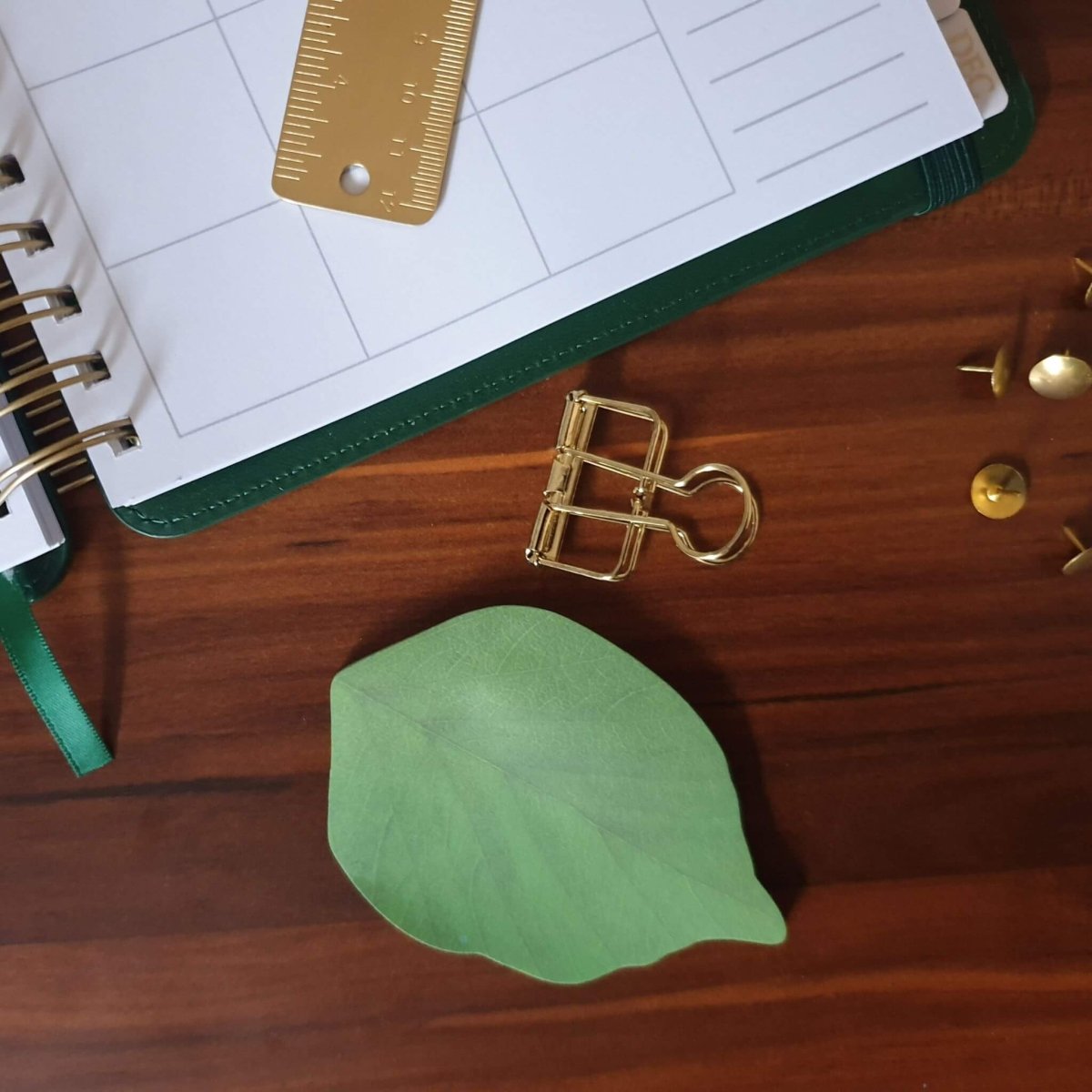 green leaf sticky notes on desk with stationery