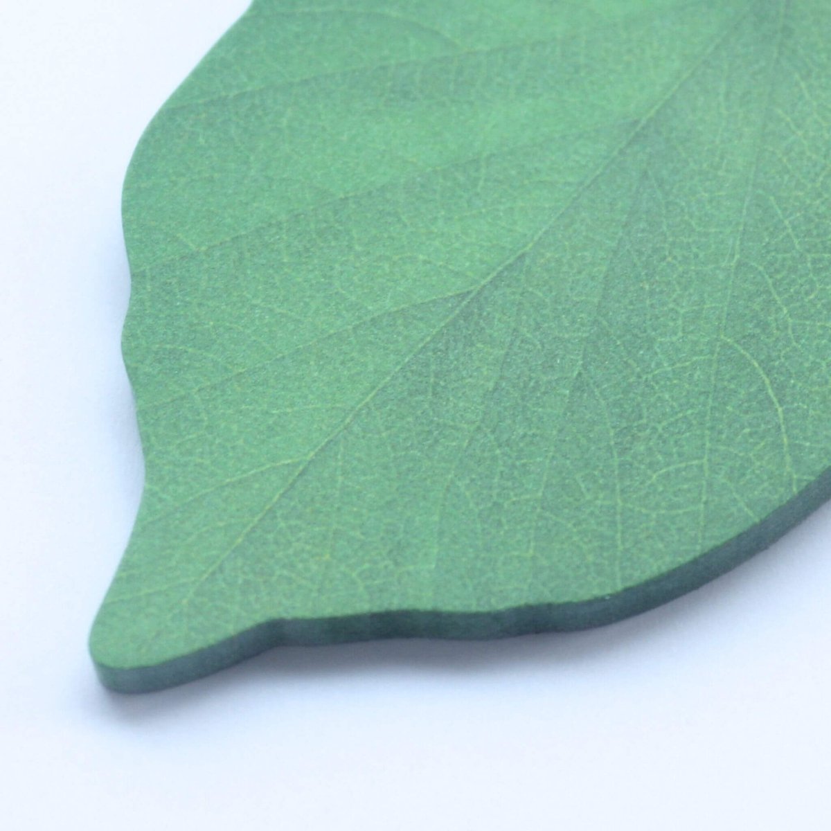 close up of detail on leaf sticky note
